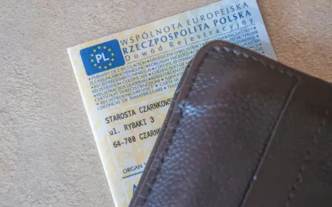Dowód rejestracyjny pojazdu w portfelu. Czy trzeba mieć przy sobie dowód rejestracyjny? Tak, jest to dokument wymagany podczas kontroli drogowej.